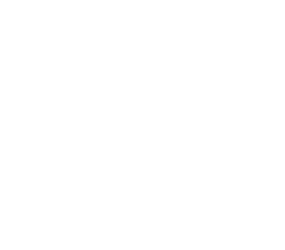 Паспорт проверен